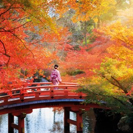 Trails of Japan, Wendy Wu 14 day tour.