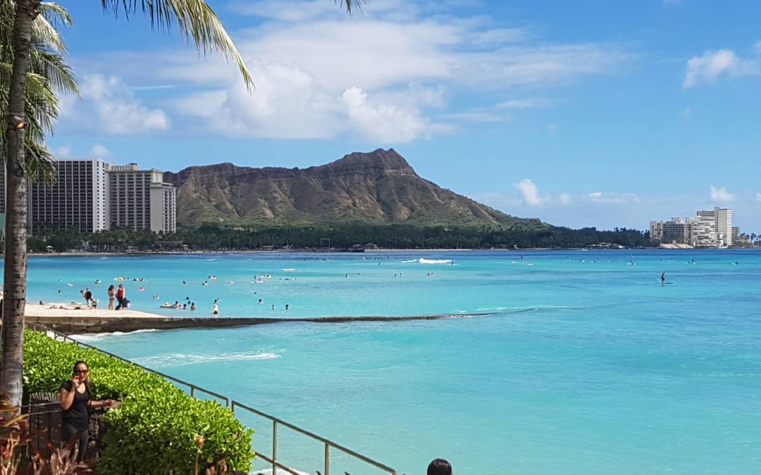 Hawaiian Fun With Leonie!